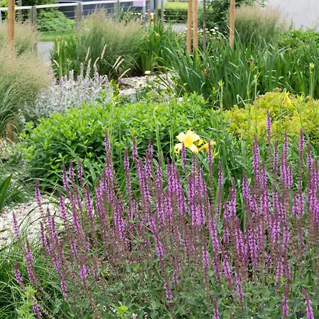 Hotel Noli Mokotow Varsavia